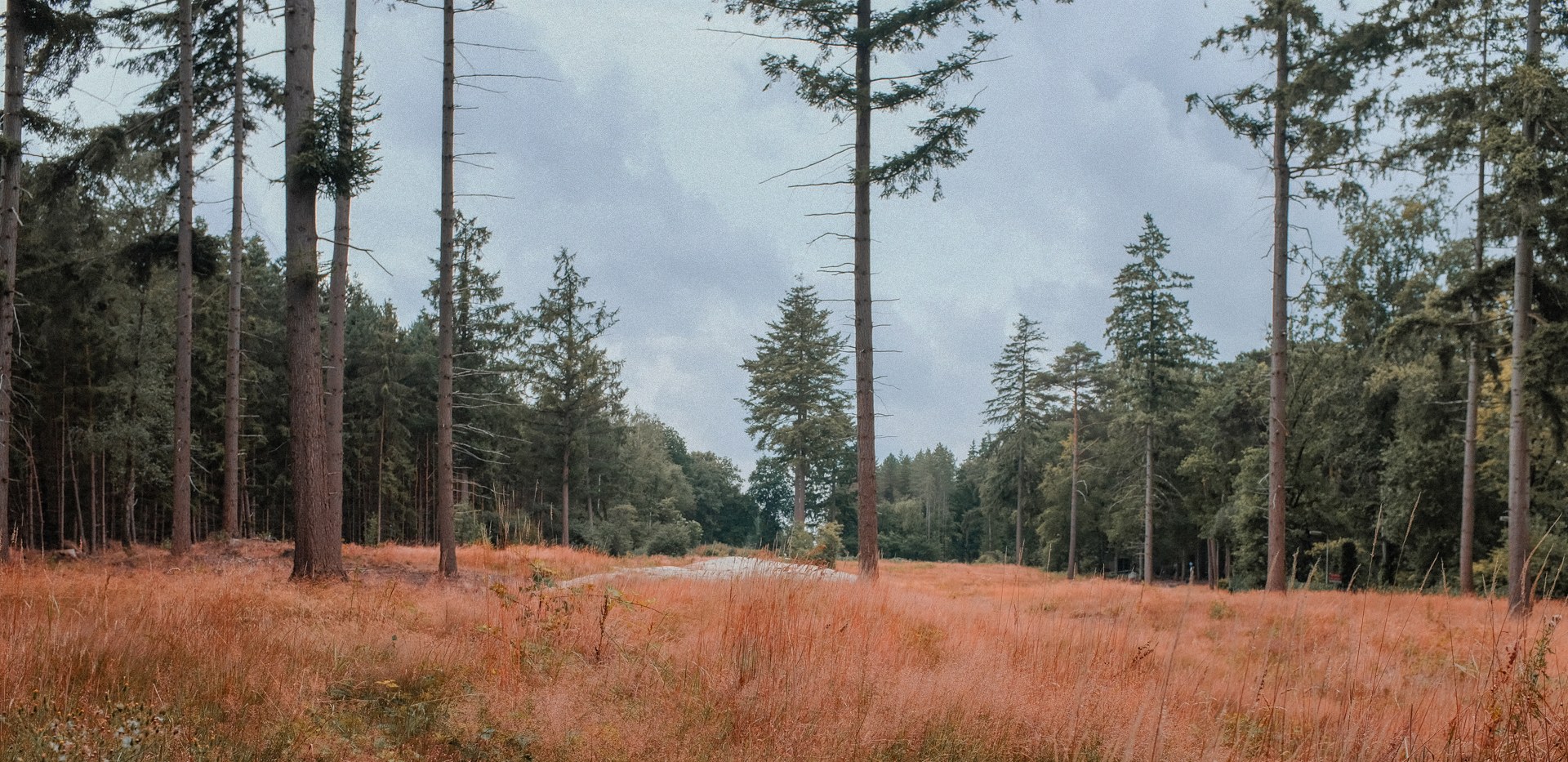 Places 16